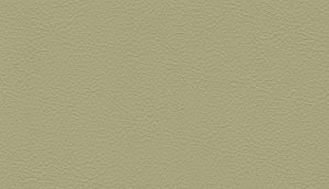 Leather Colour Choices