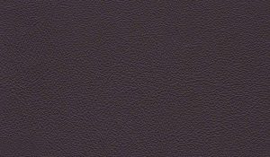 Leather Colour Choices