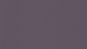 Leather Colour Choices