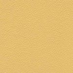Leather Colour Choices