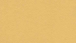 Leather Colour Choices