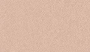 Daydream - Leather Colour Choices