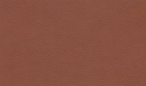 Liquid Amber (TT) - Leather Colour Choices