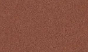Liquid Amber (TT) - Leather Colour Choices