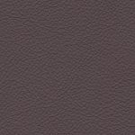 Raisin - Leather Colour Choices