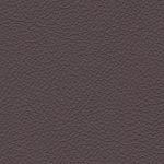 Raisin - Leather Colour Choices