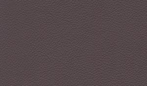 Raisin - Leather Colour Choices