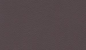 Raisin - Leather Colour Choices