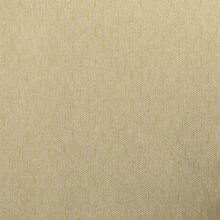 Mustard - Buxton Fabric Choices