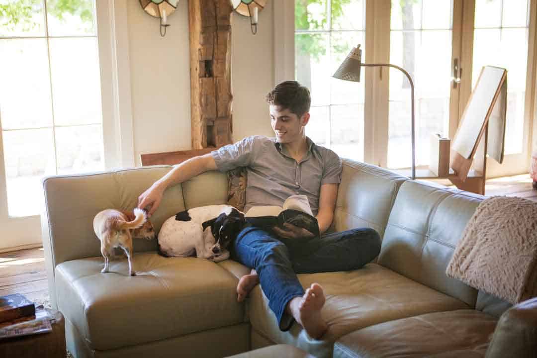 Man playing with dogs on leather lounge Sydney